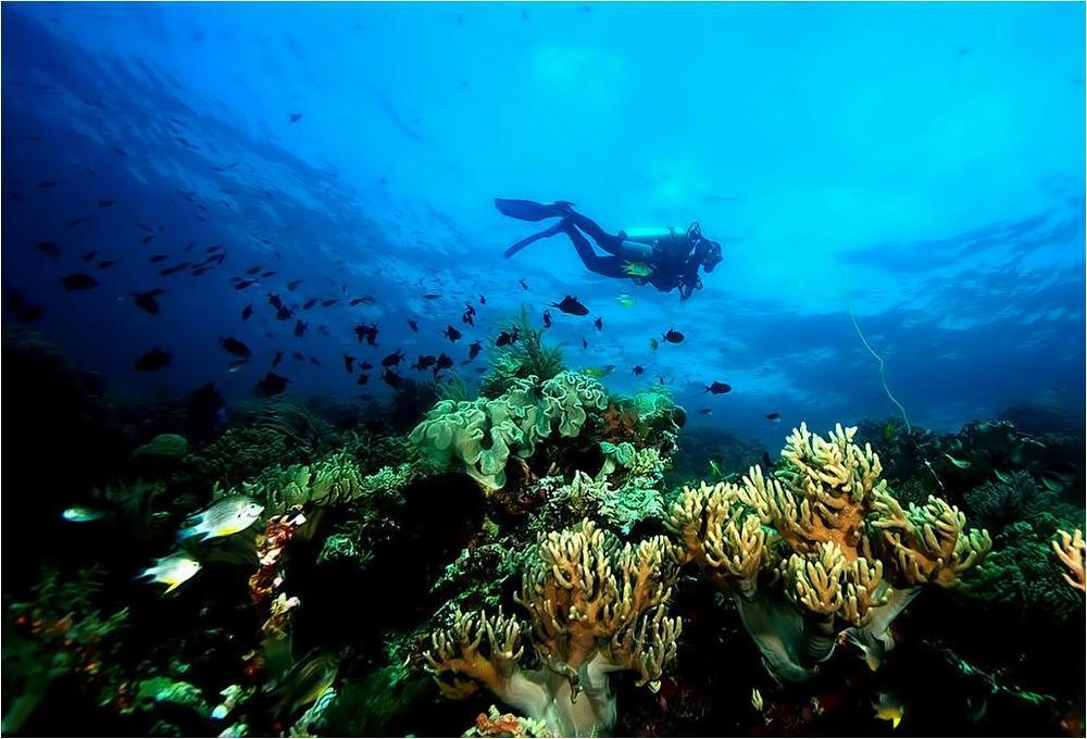 Wakatobi Patuno Diving And Beach Resort By Sahid Wanci Exteriér fotografie