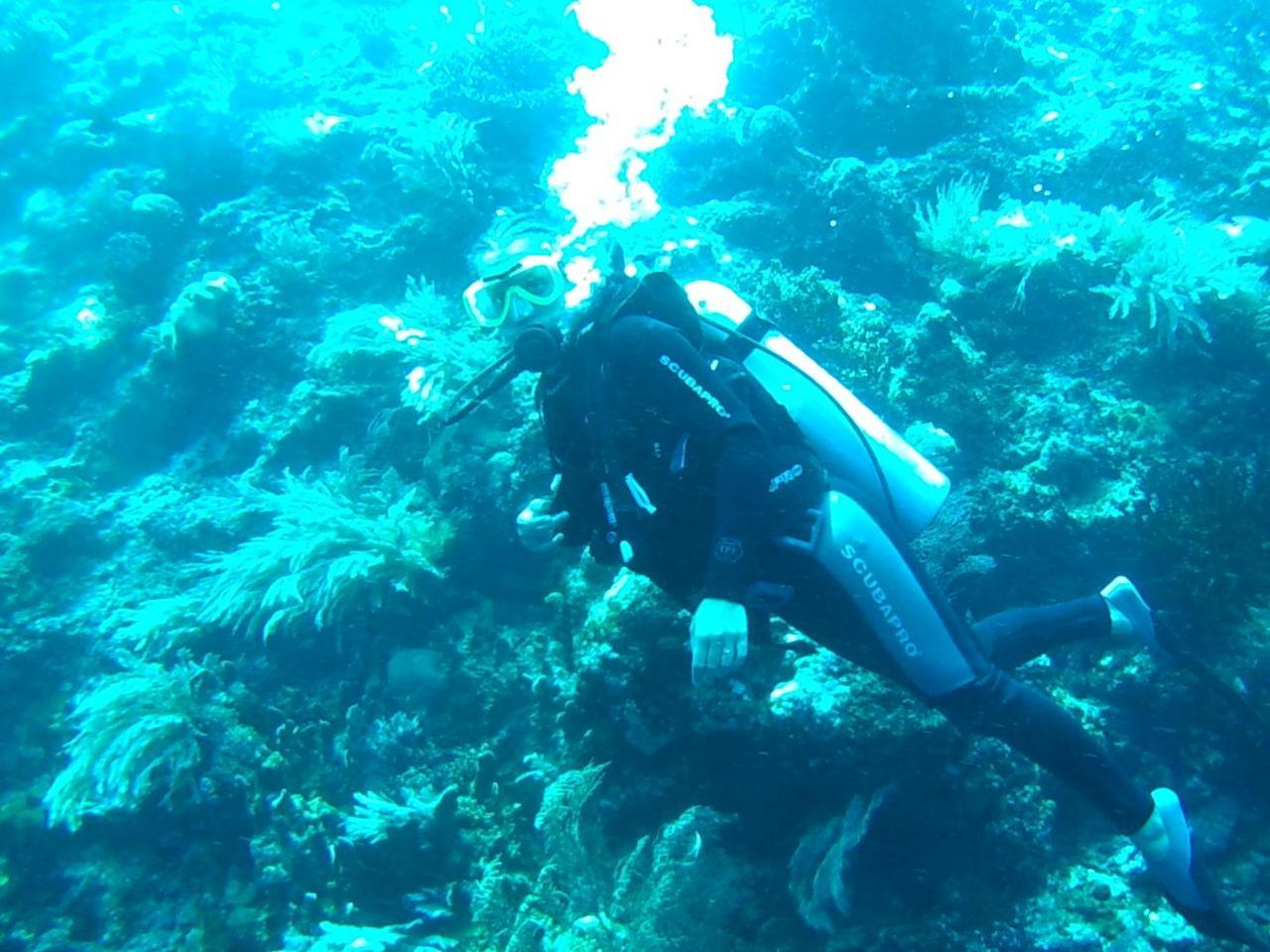 Wakatobi Patuno Diving And Beach Resort By Sahid Wanci Exteriér fotografie