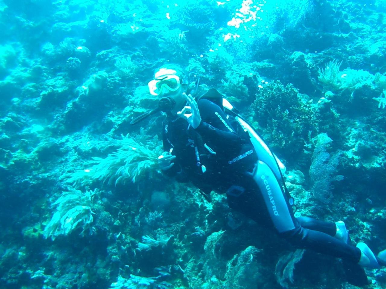 Wakatobi Patuno Diving And Beach Resort By Sahid Wanci Exteriér fotografie